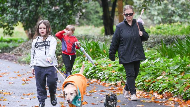Million Paws Walk at Adelaide Botanic Gardens. Picture: Brenton Edwards