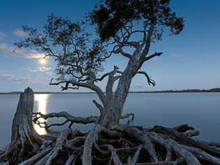 What happened on the shores of Lake Weyba? Picture: Facebook: The Shoot Out / Nicole