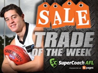 Nick Coffield is the most popular recruit in SuperCoach.