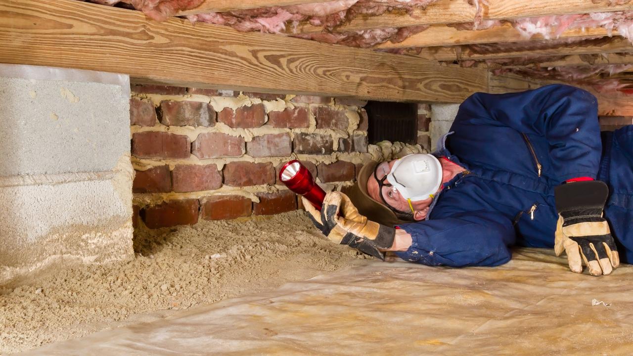 Termites could be lurking beneath the home you buy.