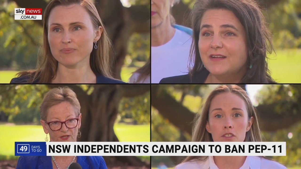 Independents hoping for Teal wave to dump Liberal Party in NSW