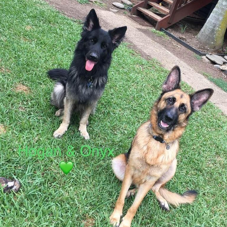 Hogan and Onyx best mates. Picture: Karen Titmarsh