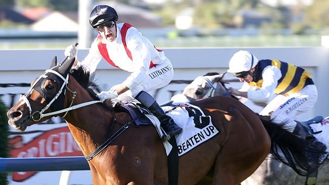 Beaten Up, a hero of the Brisbane winter carnival, won't race this spring. Picture: Peter Wallis