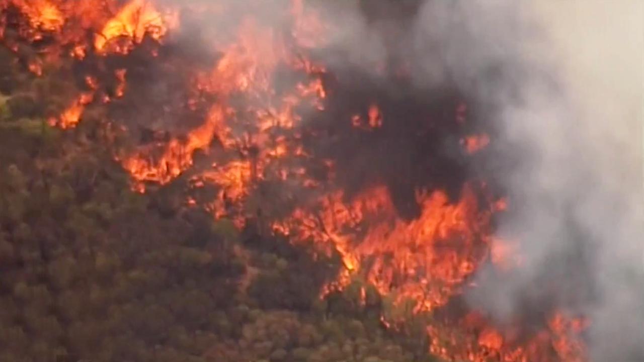 Prince William, Catherine praise Kangaroo Island bushfire recovery ...