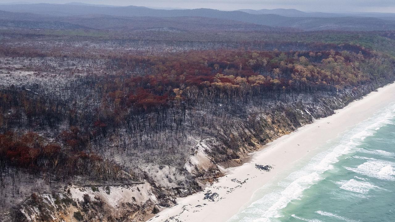 Some of the devastation that has hit more than half of the island so far. Picture: NCA NewsWire /John Wilson