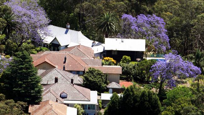 Generic aerial view of houses surrounded by bushland at Hornsby, one of areas that is a bushfire risk around Sydney.