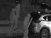 CCTV captures moments before violent home invasion