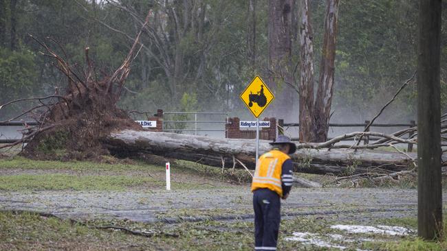 Energex workers tend to fallen trees across a road after a super cell storm tore through Long Flat south of Gympie. Picture: Lachie Millard