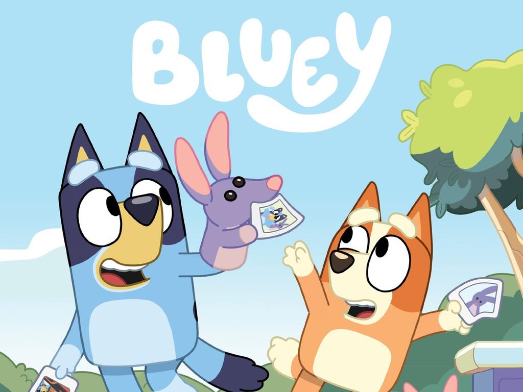 buy-all-about-bluey-book-online-at-special-price-in-pakistan-naheed-pk