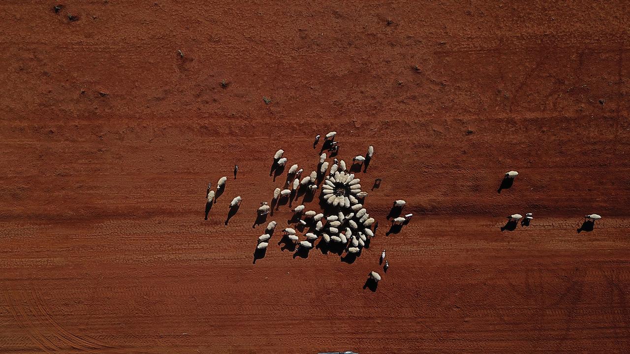 An aerial image of a drought affected farm in Queensland, where 66 per cent of the state has been drought declared.