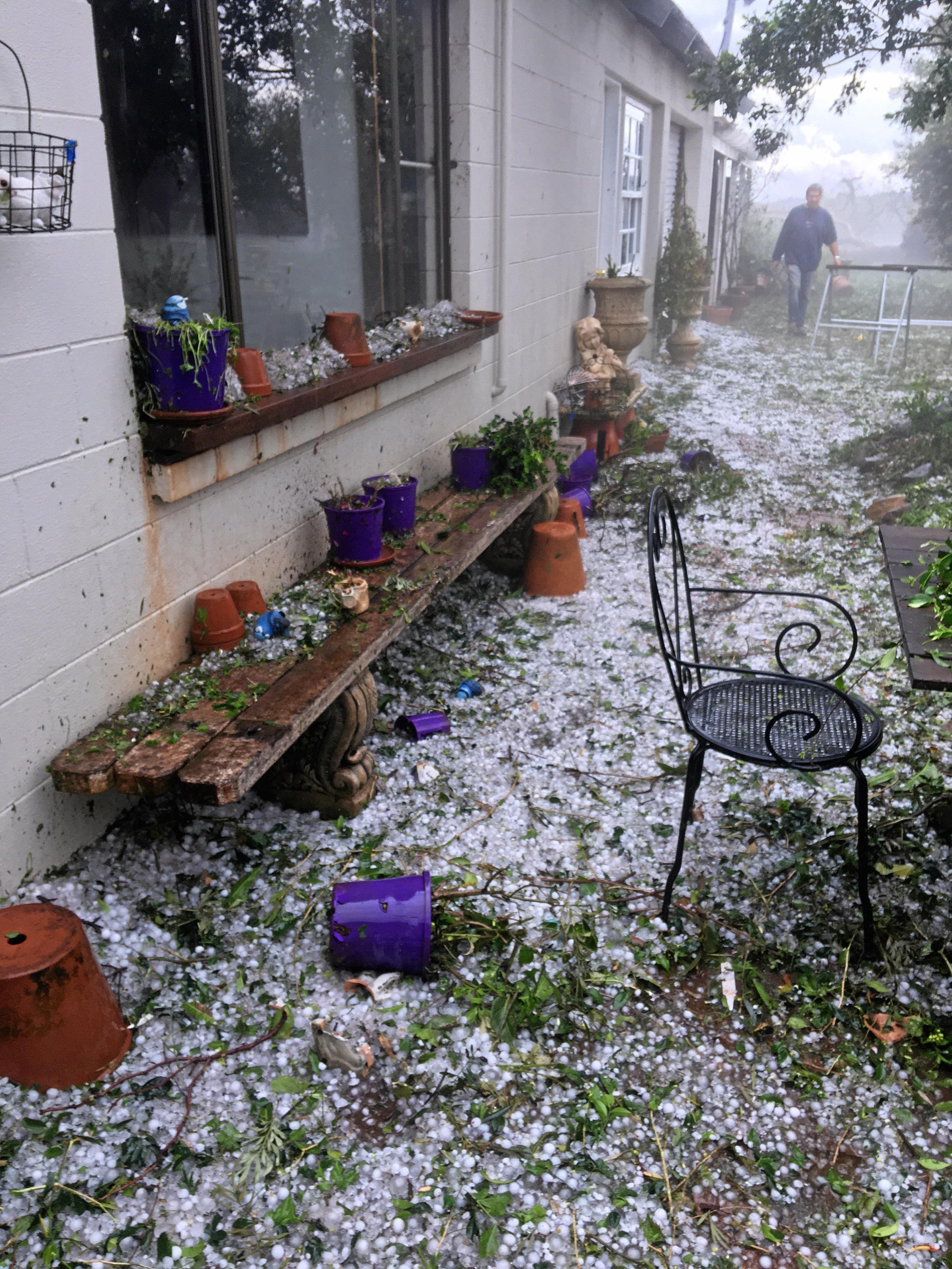 POTTED AND PUMMELED: The lavender farm took the brunt of the storm, receiving buckets of hail and broken windows before losing the roof off of the antique shed. Picture: Erin Anne Zaleski