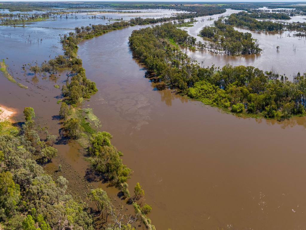 The River Murray flooding at Kingston On Murray on November 19th, 2022., Picture: Kingston Murray River Pix