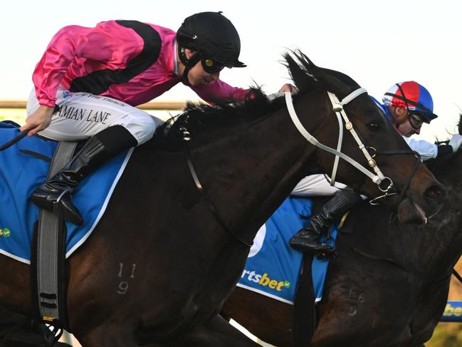 MELBOURNE, AUSTRALIA - MAY 15: Billy Egan riding The Open defeating Damian Lane riding Elouyou in Race 8, the Sportsbet Same Race Multi Handicap during Melbourne Racing at Sandown Hillside on May 15, 2024 in Melbourne, Australia. (Photo by Vince Caligiuri/Getty Images)