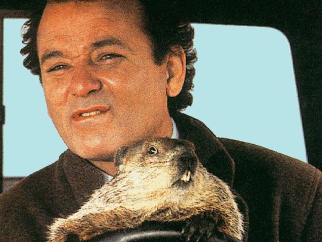 Bill Murray Groundhog Day(1)