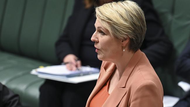 Environment Minister Tanya Plibersek. Picture: NCA NewsWire/Martin Ollman​