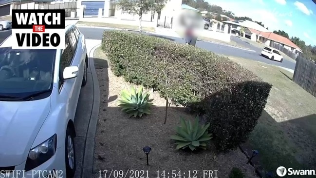 Dramatic video moments before hit and run emerges - "Brother, call the cops"