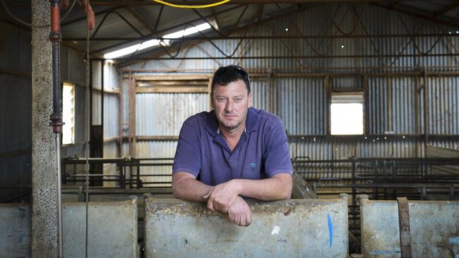 Stressful: Underbool farmer Kieran Hayter had sheep and wool stolen from him but has successfully prosecuted his case in court. Picture: Dannika Bonser