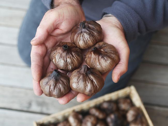 Koonya Garlic Festival is an annual event celebrating all things garlic. Picture: Nikki Davis-Jones