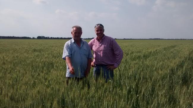 Field service: Lawrence Richmond (right) with agronomist Taras Stepanovich in a wheat crop on the Ukrainian property he manages.