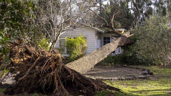 Storms that lashed Victoria destroyed homes and left thousands without power. Picture: NCA NewsWire/Wayne Taylor