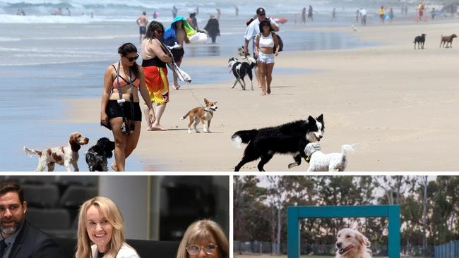 Gold Coast City Council is reviewing its dog off leash areas. The City is experiencing a boom in its pet population. The top picture is at The Spit.