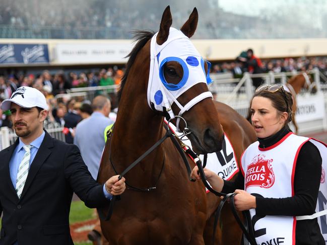 Mr Quickie is seen before race 9, the Stella Artois Caulfield Cup, during the Stella Artois Caulfield Cup Day at Caulfield Racecourse in Melbourne, Saturday, October 19, 2019. (AAP Image/Vince Caligiuri) NO ARCHIVING, EDITORIAL USE ONLY