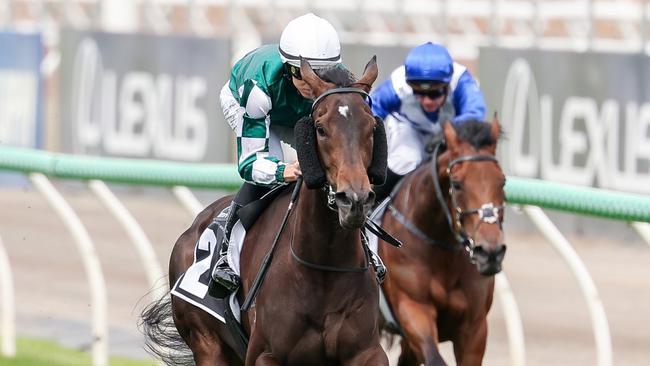 Treasurethe Moment ridden by Damian Lane wins the HKJC World Pool Wakeful Stakes at Flemington Racecourse on November 02, 2024 in Flemington, Australia. (Photo by Morgan Hancock/Racing Photos via Getty Images)