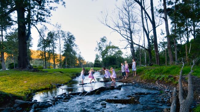 O'Reillys Canungra Valley vineyards creek