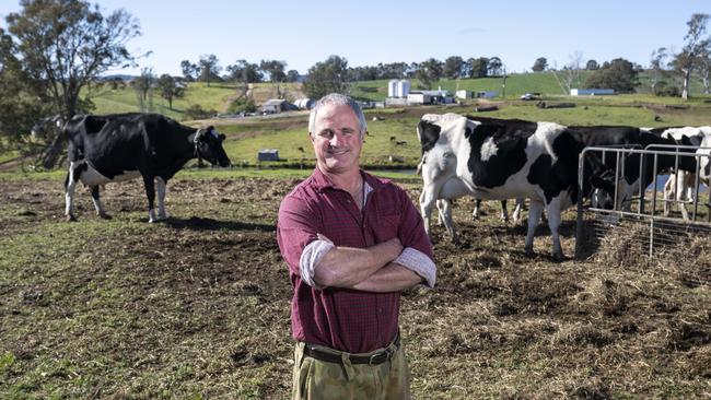 Dairy farmer Phil Ryan with his cattle on his farm in Toothdale, NSW. Picture: NCA NewsWire / Martin Ollman