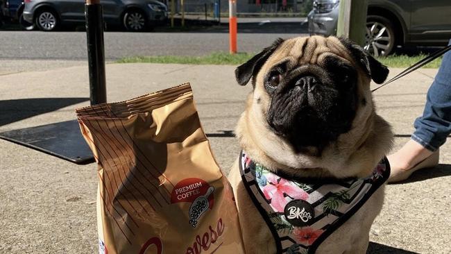 Coorparoo cafe in Brisbane told owners dogs are no longer allowed.