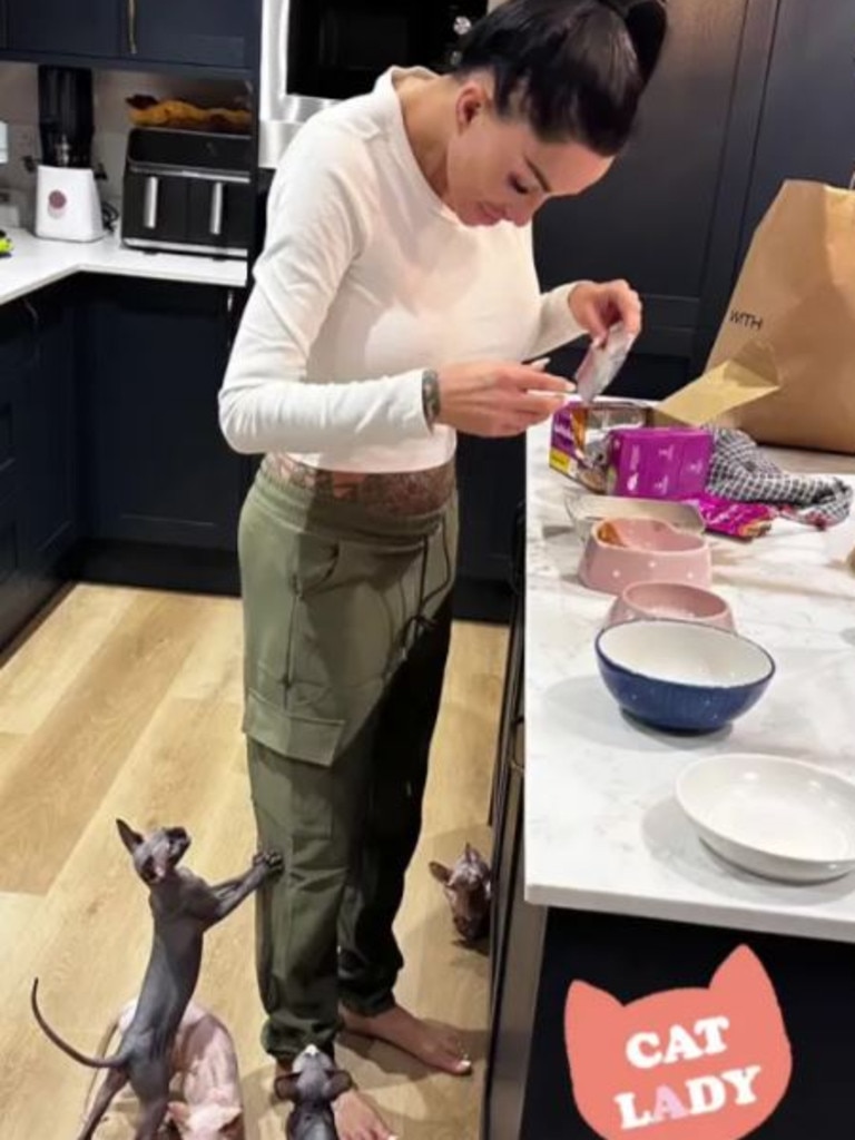 Price recently added three hairless cats to her pet brood. Picture: Instagram/KatiePrice