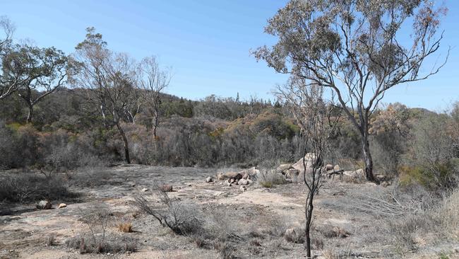 The proposed site of the Emu Swamp Dam near Stanthorpe. Picture: Kym Smith