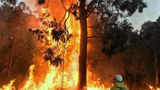 SOCIAL MEDIA IMAGE DISCUSS USE WITH YOUR EDITOR - Firefighters have been battling a blaze on the Summerland Way at Clearfield, near Rappville, south of Casino.