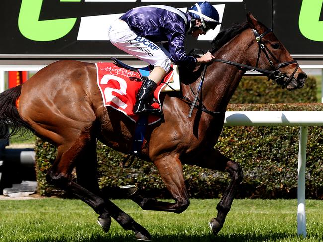 lloyd Kennewell says Viddora will have a month in the paddock before being set for a light Melbourne spring.