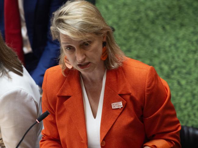 Family Violence Prevention Minister Vicki Ward is under fire over her comments. Picture: Nicki Connolly