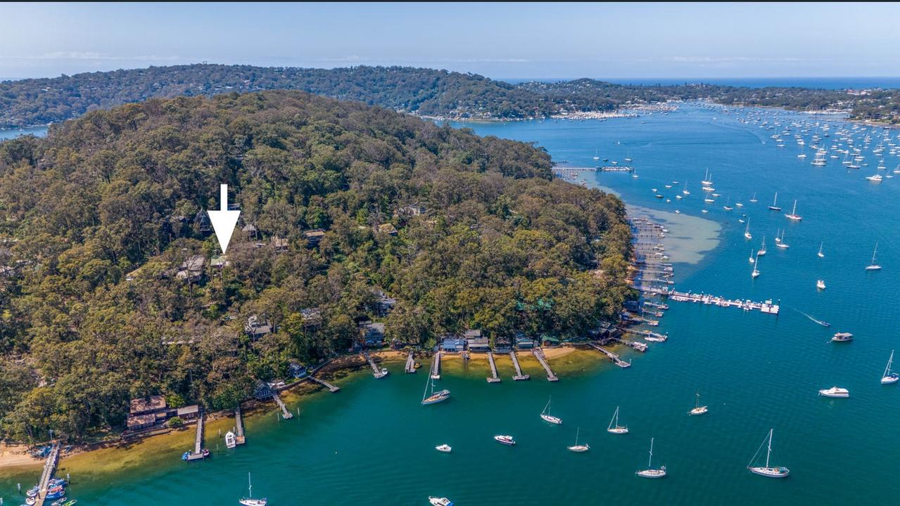 ‘A tree fell on it’: secret to Sydney’s ‘cheapest waterfront’