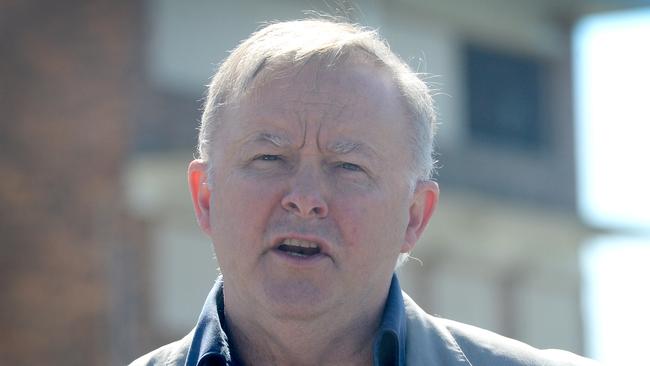 Labor leader Anthony Albanese. Picture: Jeremy Piper