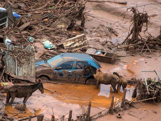 Horses remain next to a car after a dam burst in the village of Bento Rodrigues, in Mariana, Minas Gerais state, Brazil on November 6, 2015. A dam burst at a mining waste site unleashing a deluge of thick, red toxic mud that smothered a village killing at least 17 people and injuring some 75. The mining company Samarco, which operates the site, is jointly owned by two mining giants, Vale of Brazil and BHP Billiton of Australia. AFP PHOTO / CHRISTOPHE SIMON / AFP PHOTO / CHRISTOPHE SIMON