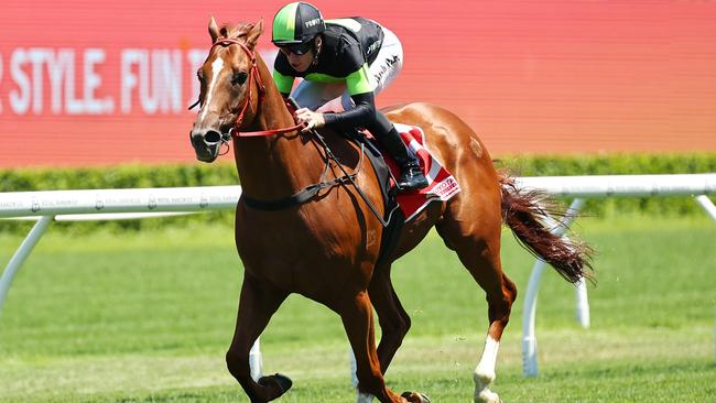 SYDNEY, AUSTRALIA - JANUARY 04: Josh Parr riding Accredited  win Race 4 Toyota Forklifts during Sydney Racing at Royal Randwick Racecourse on January 04, 2025 in Sydney, Australia. (Photo by Jeremy Ng/Getty Images)