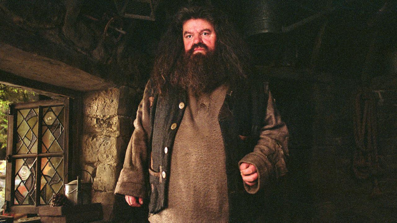 Williams also wanted the role of Hagrid, which was played by Robbie Coltrane.