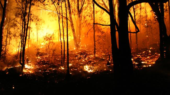 Strike Force Roche is netting dozens of people for alleged fraud via a bushfire/COVID grants scheme. iStock.