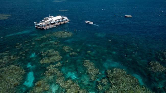 The Reef Magic pontoon, Remora, on Moore Reef. Photo: Tourism Tropical North Queensland