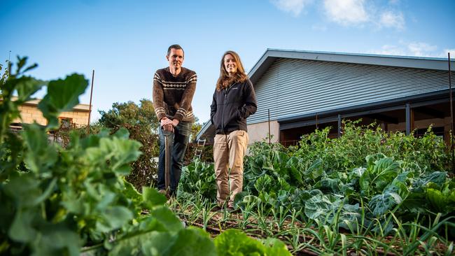 Dani Austin and Sam Ryan in their vegetable patch at Aldinga. Picture: Tom Huntley