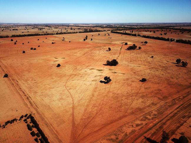 Dry fields of Richard and Diane Darcy's farm in Tullamore. Picture: Jonathan Ng