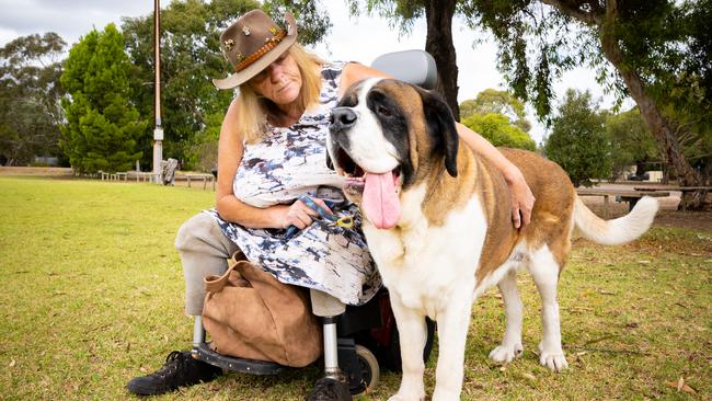 Sandy Edwards with her St Bernard dog, Lilly. Onkaparinga Council has snubbed her previous dog, Snuffy the carer dog, rejecting honours for him in Adelaide. Picture: Morgan Sette