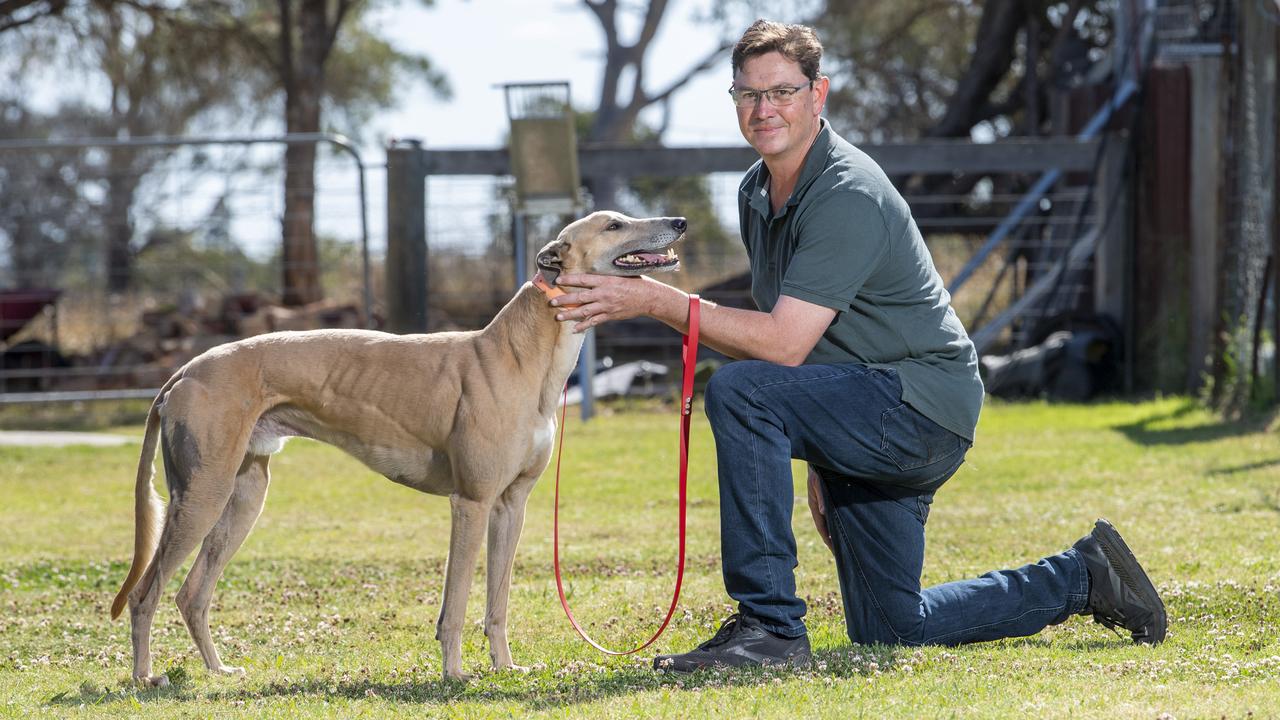 Former Dog Smith gets one for Penrith