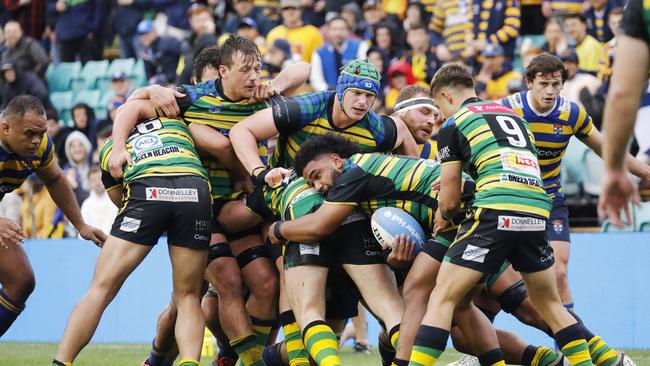 Sydney Uni claimed the big win at Leichhardt Oval. Pic: Karen Watson