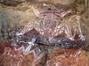 ‘Must-see sites’: Uncover Kakadu’s cultural and natural treasures