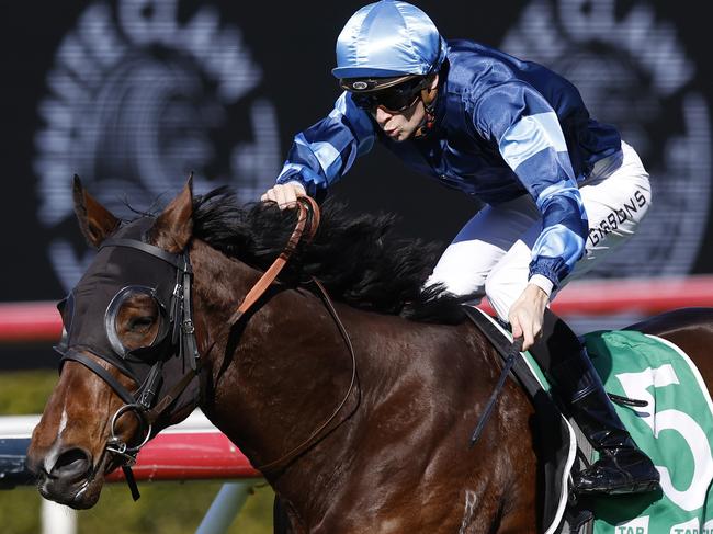 SYDNEY, AUSTRALIA - JUNE 11: Dylan Gibbons on Zadig wins race 1 the TAB Highway Handicap during Sydney Racing at Royal Randwick Racecourse on June 11, 2022 in Sydney, Australia. (Photo by Mark Evans/Getty Images)