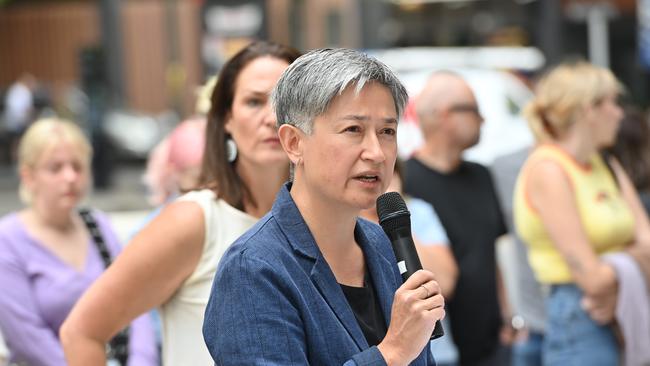 Labor Senator Penny Wong. Picture: Keryn Stevens